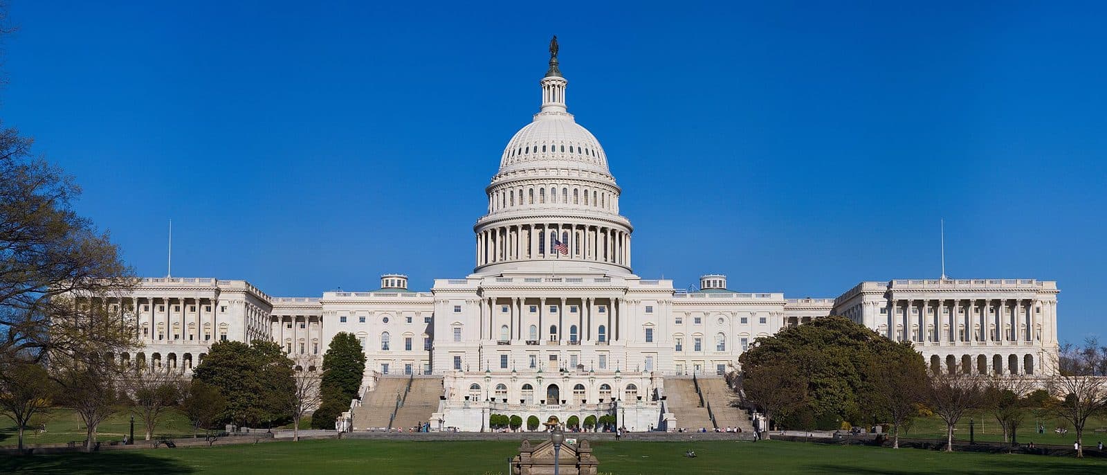 Congressional Capacity